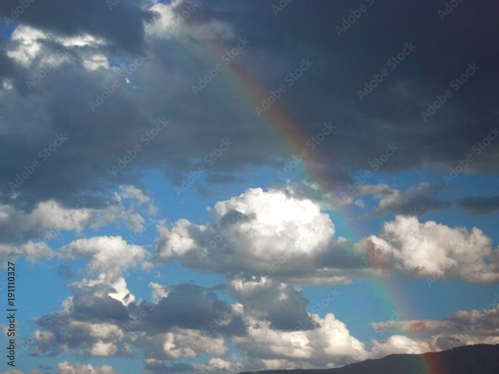 Fototapeta premium Rainbow