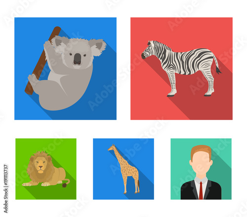 African zebra, animal koala, giraffe, wild predator, lion. Wild animals set collection icons in flat style vector symbol stock illustration web. photo