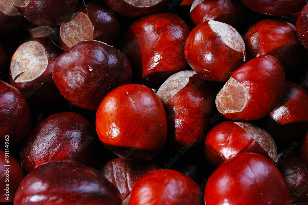 Brown wild chestnuts. Chestnut closeup pattern texture as background. Macro photo Brown wild chestnuts. Chestnut closeup pattern texture as background. Macro photo