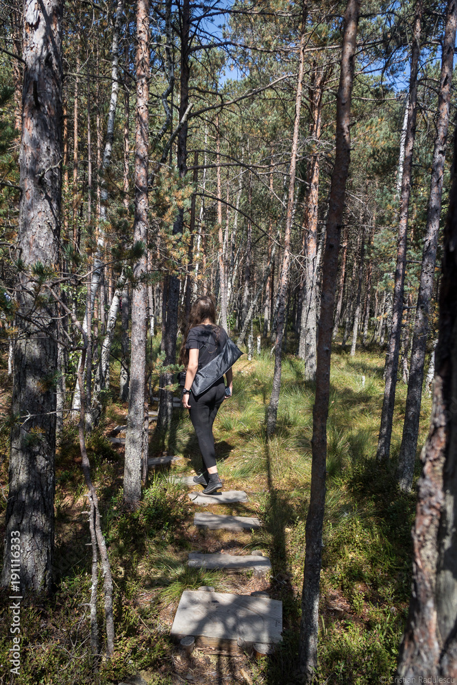 Naklejka premium Lake