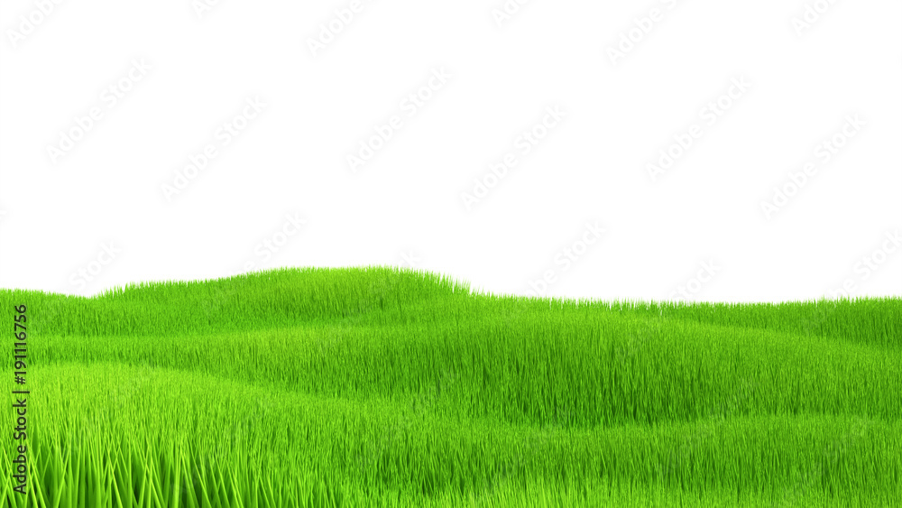 Obraz premium Interior background with grass. 3d illustration, 3d rendering.