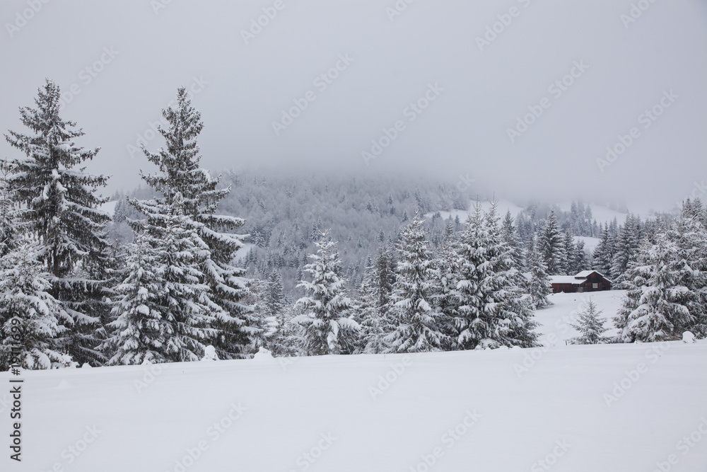 winter in the mountains - small Romanian village in the Carpathians covered with snow winter in the mountains - small Romanian village in the Carpathians covered with snow