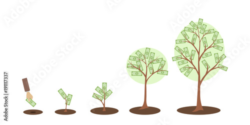 Money tree growth.