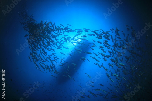 Scuba diving boat above reef with fish