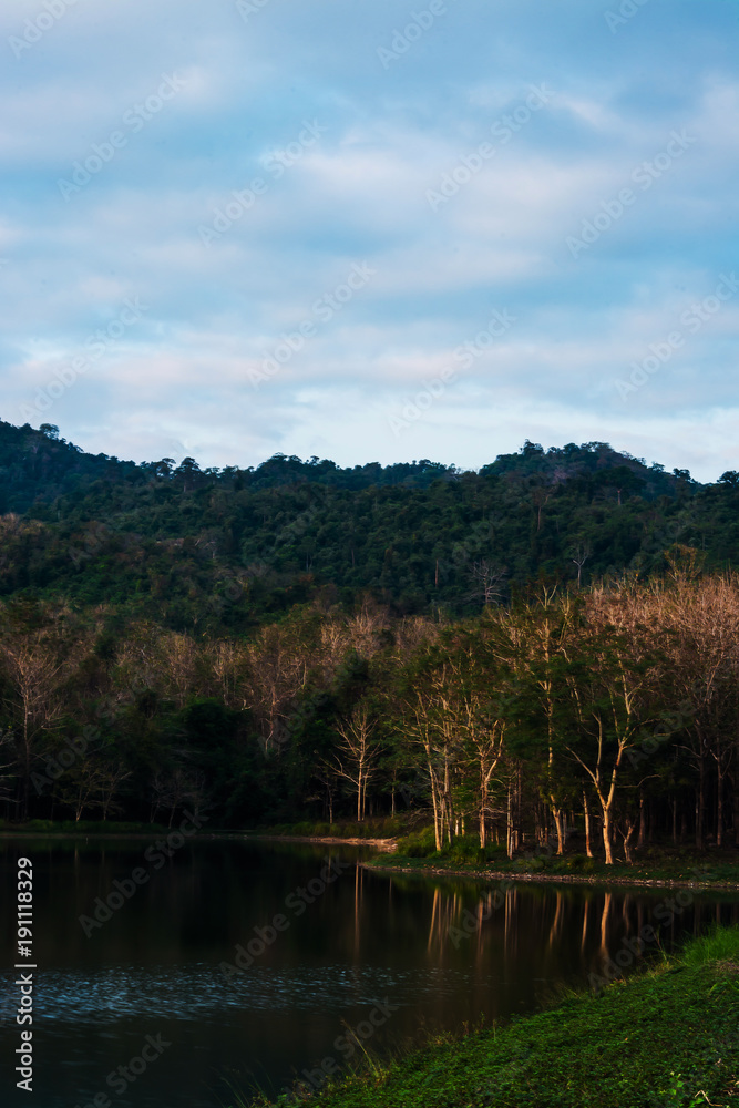 landscape of the forest in Thailand landscape of the forest in Thailand