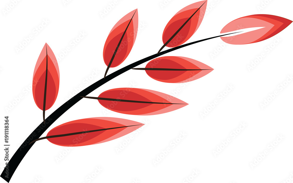 plant background
