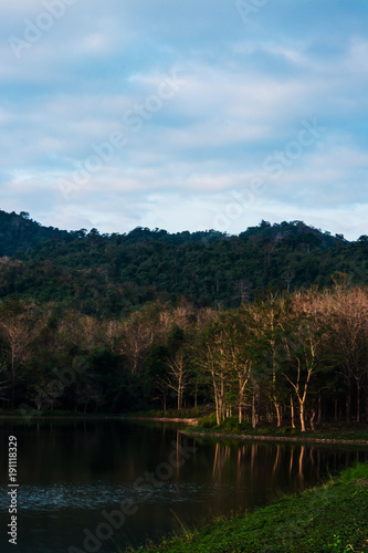 landscape of the forest in Thailand