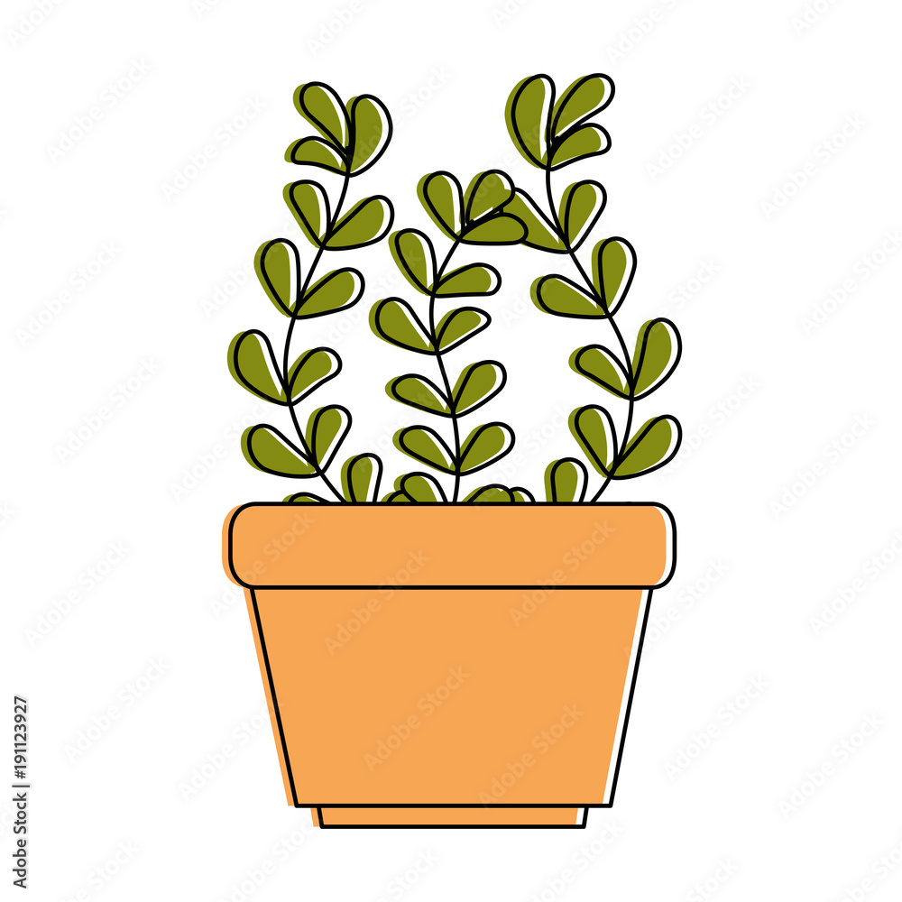 house plant in pot vector illustration design house plant in pot vector illustration design