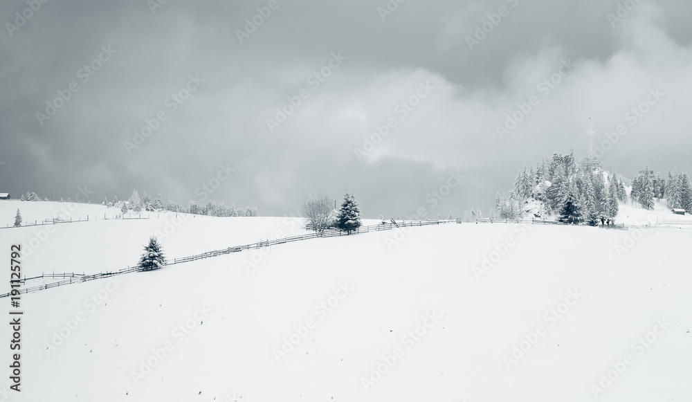 Fototapeta premium winter in the mountains - small Romanian village in the Carpathians covered with snow