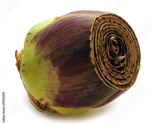 Cynara scolymus Artyčok Artichoke Artichaut Enginar Cuore Karczoch ארטישוק zwyczajny 菜薊 di Kronärtskocka Carciofo Artisjok Anghinare Articsóka Artischocke Angjinarja خرشوف photo