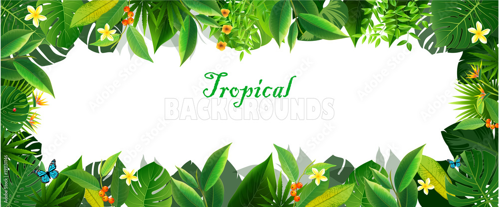 custom made wallpaper toronto digitalBright tropical background with jungle plants.