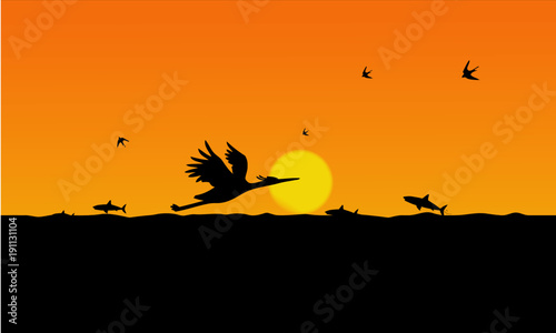 crane bird and sunset