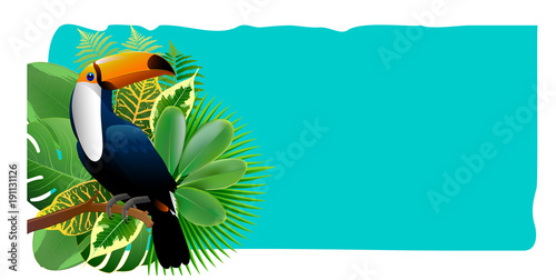 Exotic Toucan Bird, Colorful Hibiscus Flowers Blossom and Tropical Leaves