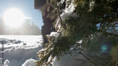 Low angle shot of young woman walking in high snow past some trees on a beautiful snowy day in slow motion