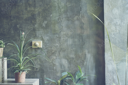 green nature wall