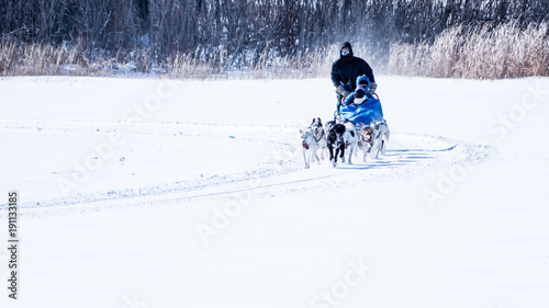 People are having fun riding dog sled on a frozen lake, Minnesota
