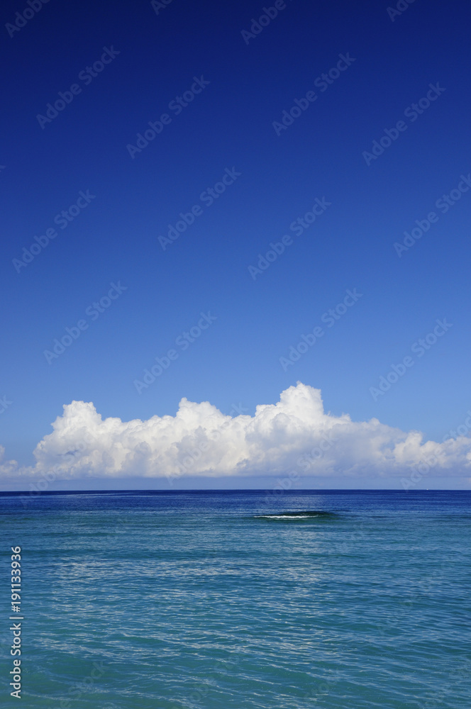 Obraz premium 南国 夏の海