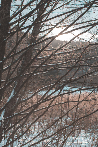 Sunset in a forest over small pond. Vintage filter.