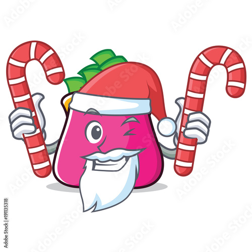 Santa with candy purse character cartoon style