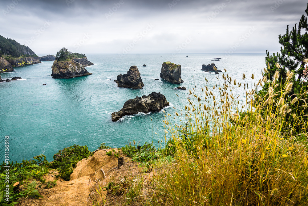 Oregon's Arch Rock Viewpoint