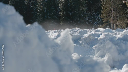 Field covered in high snow in the middle of the forest