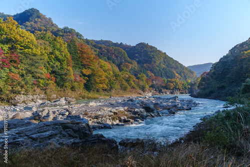 Autumn leaves & Myojin fall around Iwadatami rocks & Ara river in Chichibu Sekiheki red cliff, Nagatoro, Saitama, Japan photo