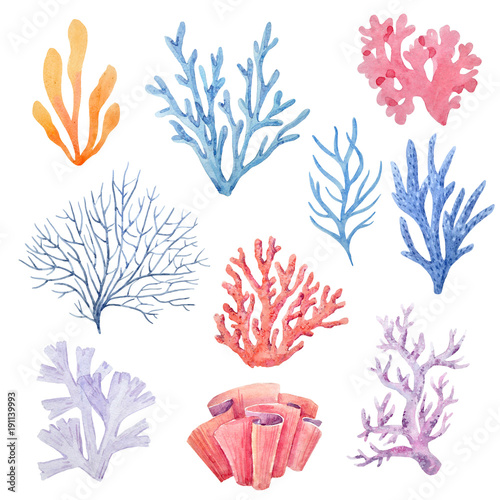 Leinwand Poster Aquarell Korallen Set