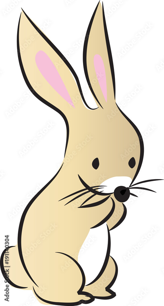 Fototapeta premium rabbit