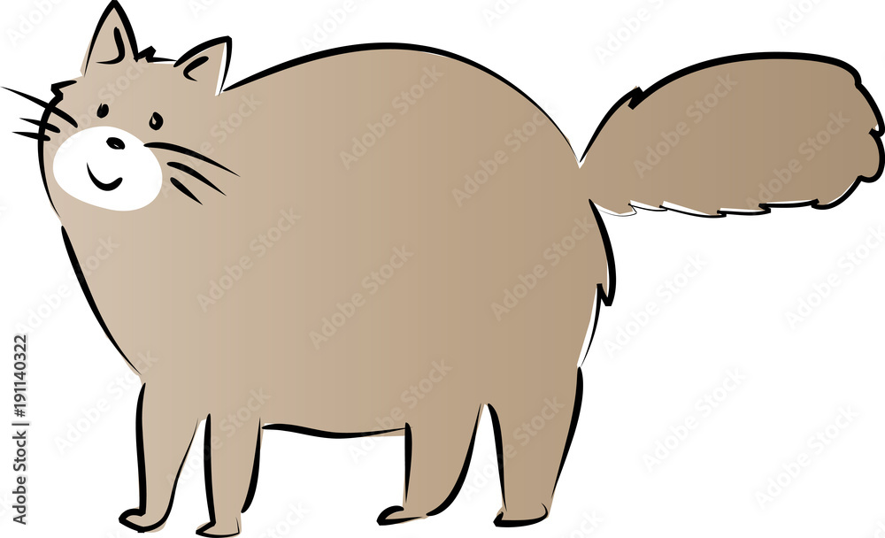 Fototapeta premium cat