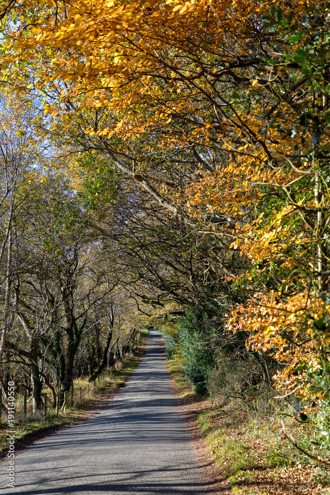 dorset, Autumn