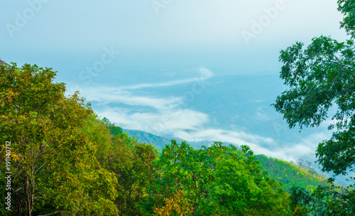 Mountain Mist, thailand © ponsatorn