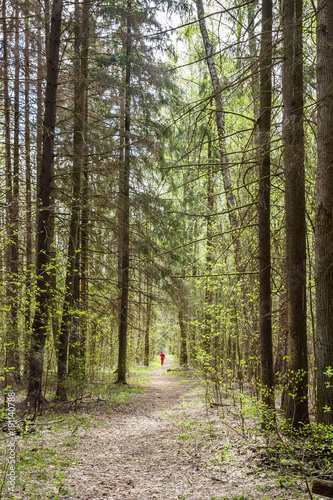 Walk through the spring forest