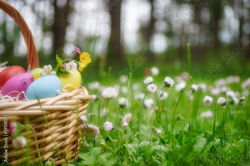 Basket with colorful easter eggs on lawn with daisy flowers