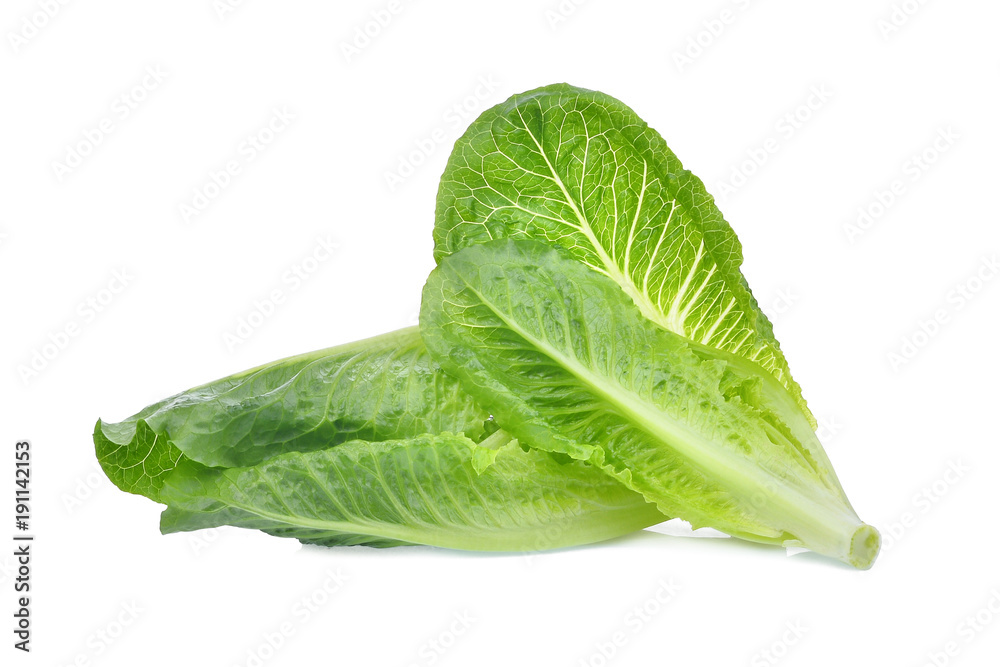 fresh baby cos, green lettuce isolated on white background fresh baby cos, green lettuce isolated on white background