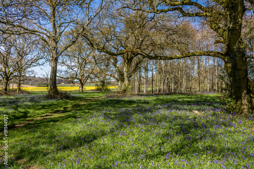 Cranborne Chase, Dorset, England