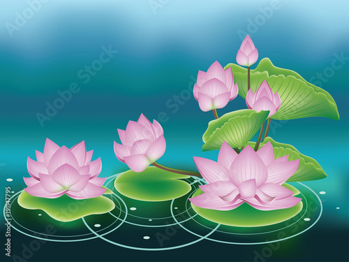 Lotus Flower with Leaves