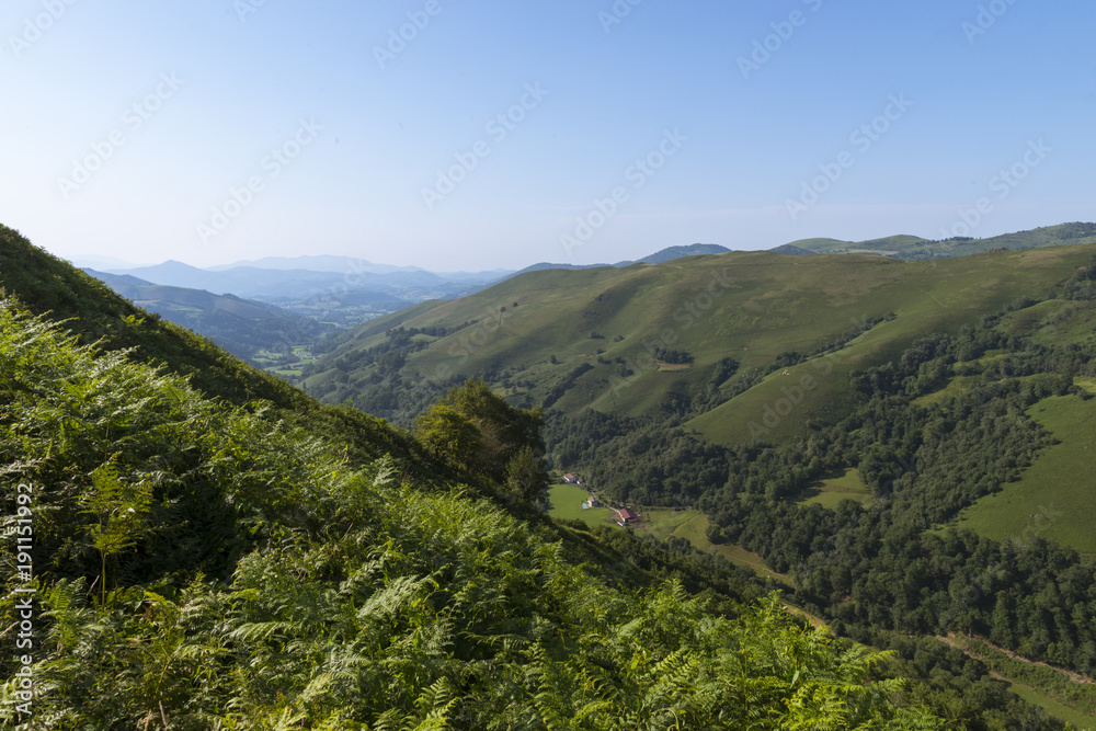 Fototapeta premium Col de Bagargui près des Chalets d’Iraty, dans les estives des Pyrénées.