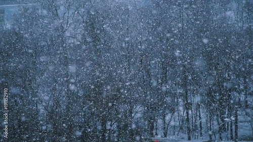 Slow motion of falling snow. Blurred winter forest background. Winter cold weather
