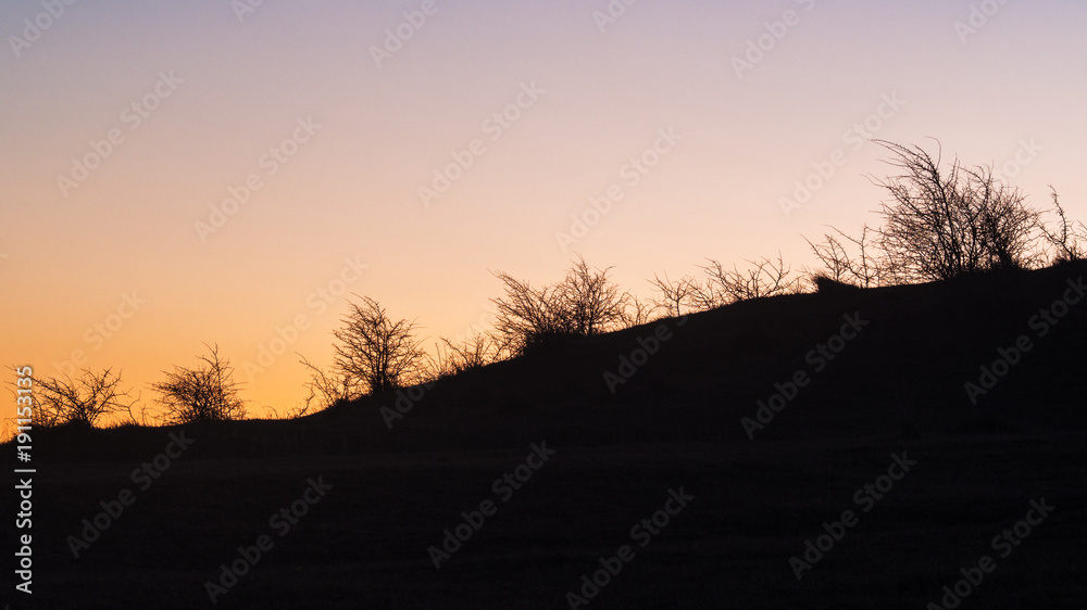 Obraz premium Huegelkante mit Busch in untergehender Sonne
