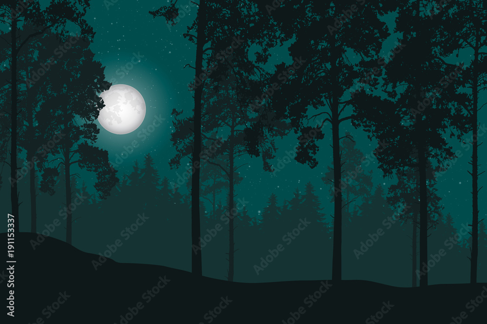 Vector illustration of a night landscape with forest and night sky