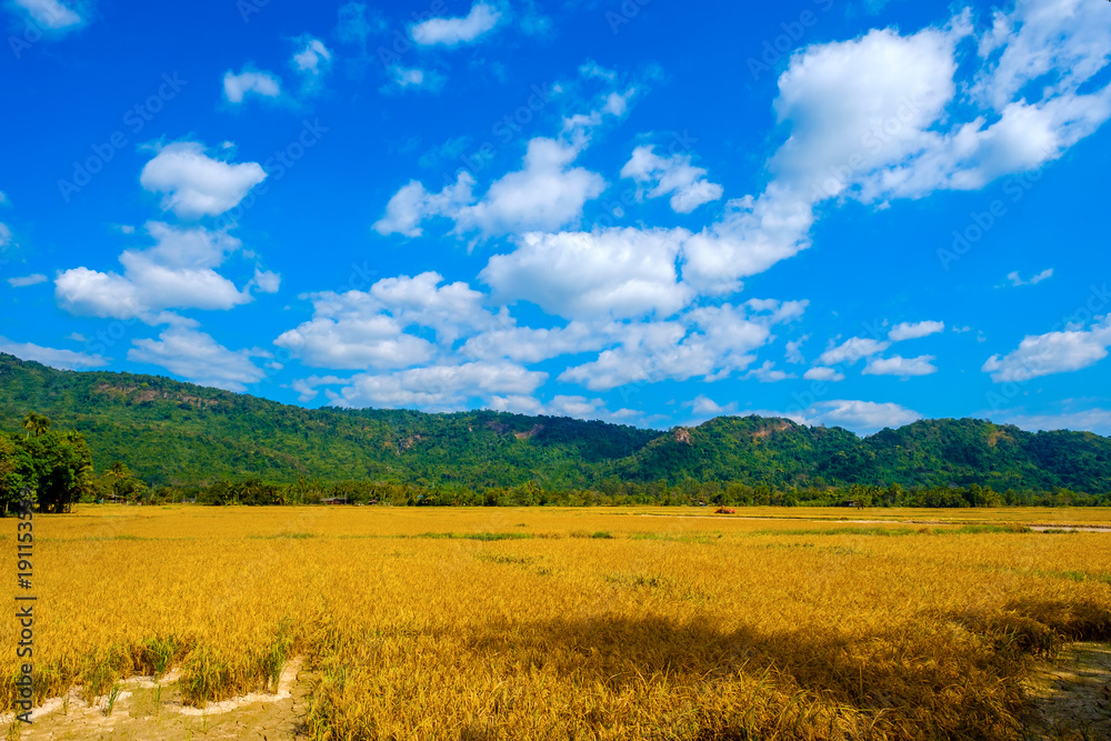 Obraz premium high mountains peaks range clouds in fog scenery landscape national park view outdoor at Chiang Rai, Chiang Mai Province, Thailand