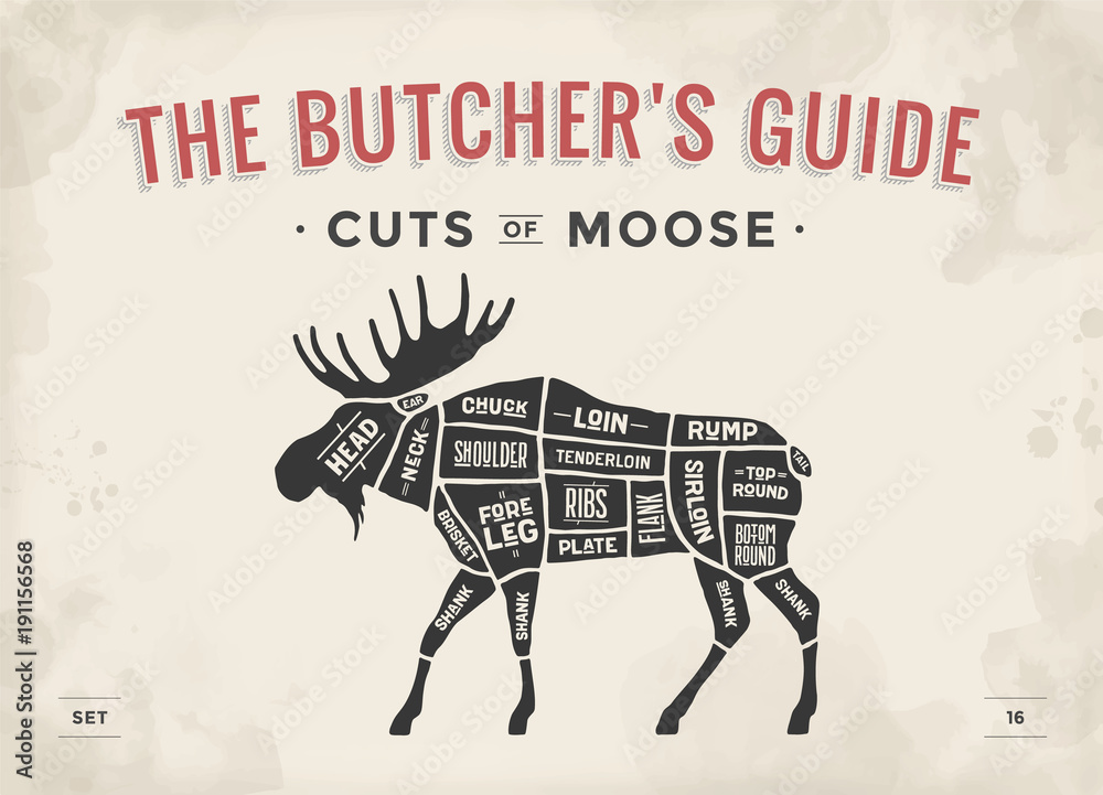 Cut of meat set. Poster Butcher diagram, scheme Moose. Vintage typographic handdrawn moose