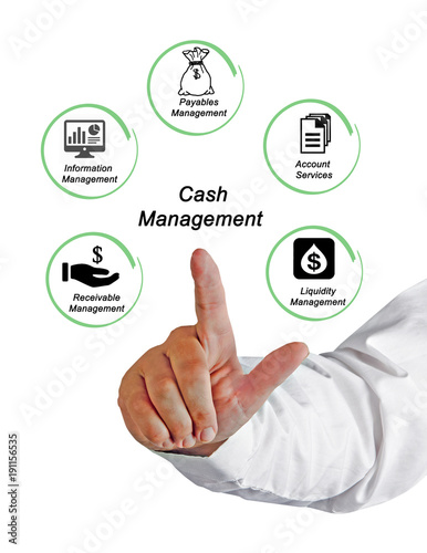 Components of Cash Management