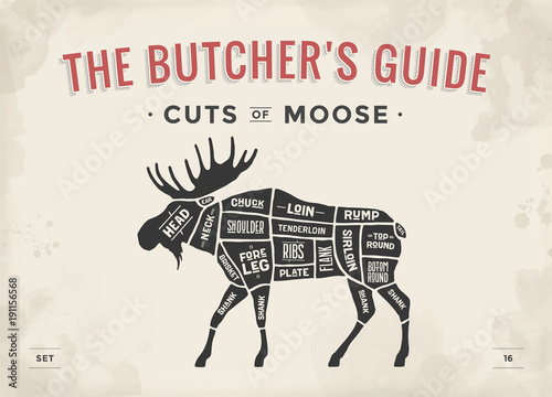 Cut of meat set. Poster Butcher diagram, scheme - Moose. Vintage typographic hand-drawn moose silhouette for butcher shop, restaurant menu, graphic design. Meat theme. Vector Illustration