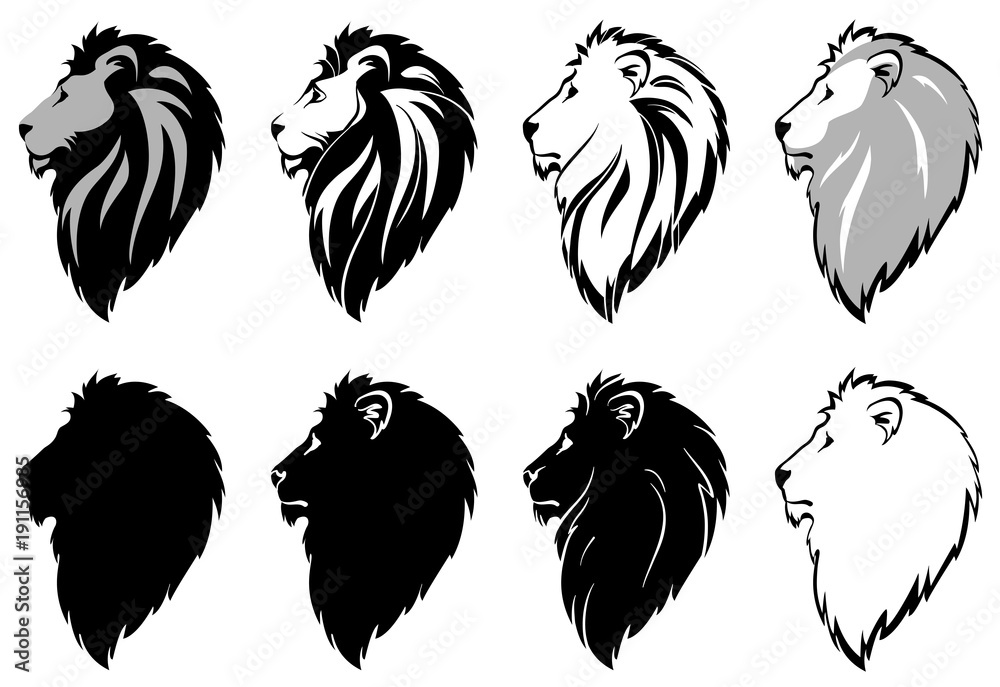 Obraz premium stylized lion head for your design, vector illustration, isolated objects