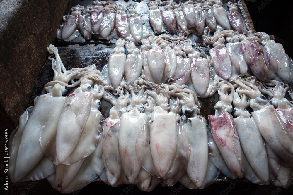 Calamary on the counter of a fish street market Calamary on the counter of a fish street market