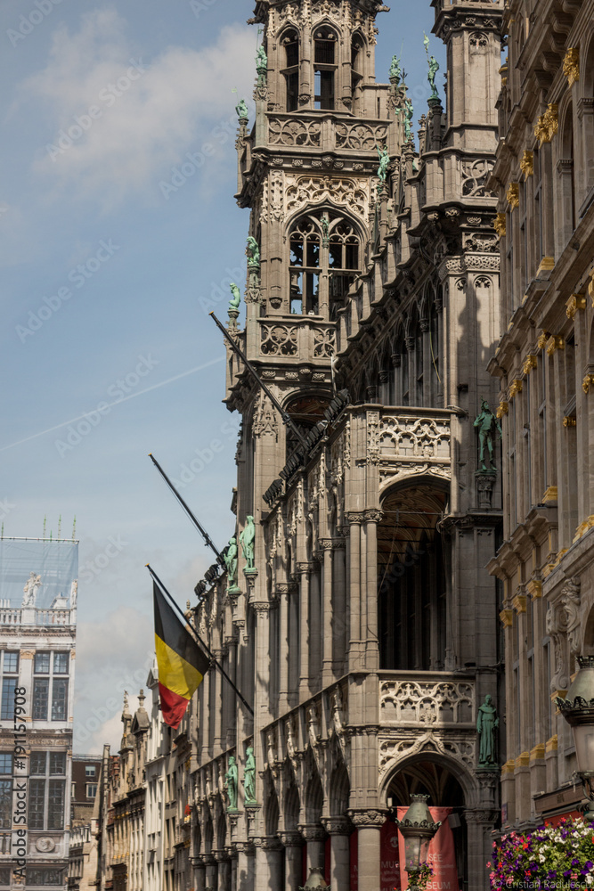 Fototapeta premium City