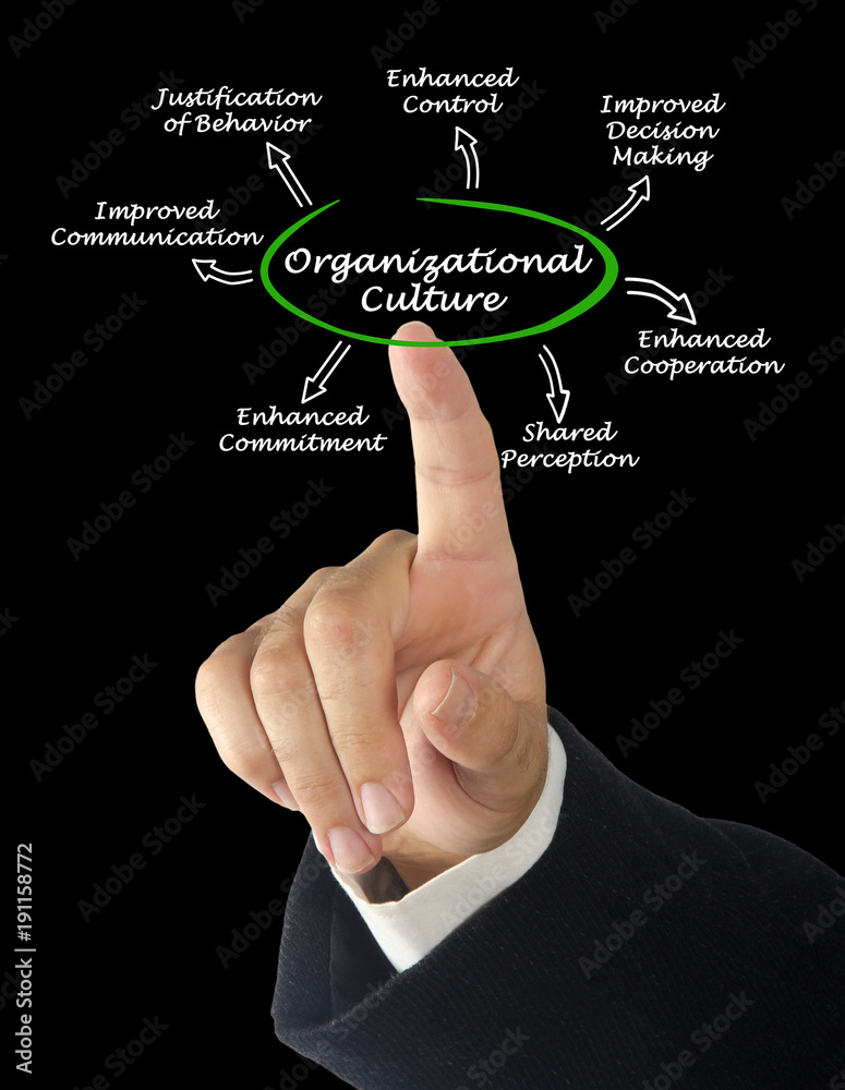 Functions of Organizational Culture Functions of Organizational Culture