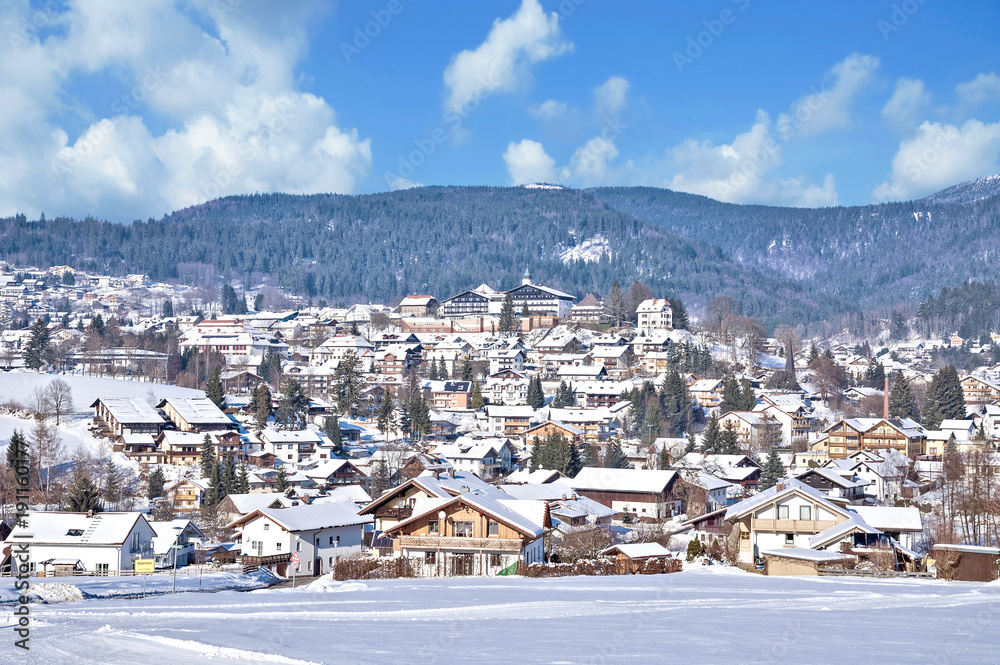 Winter,Urlaubsort,Bodenmais,Bayerischer wald,Niederbayern,Deutschland