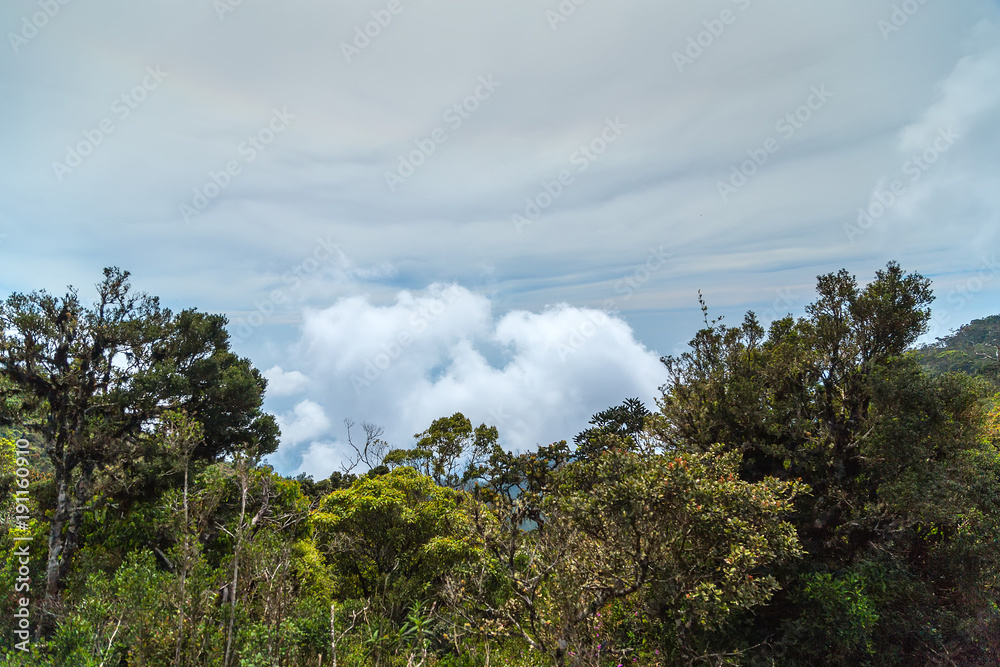 Landscape Hills Horton Plains National Park, Central highlands, Sri Lanka